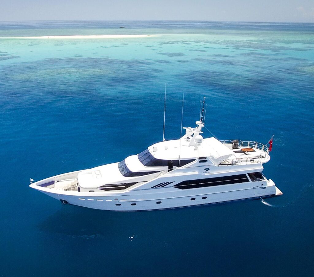 luxury charter diving great barrier reef