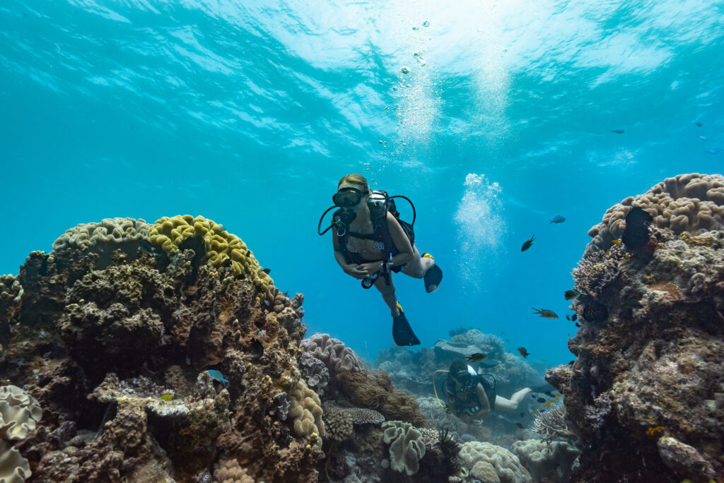 The best scuba diving on the Great Barrier Reef is found on this luxury charter